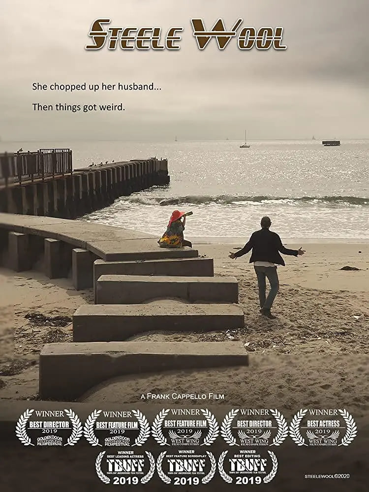 斯蒂尔羊毛 2019