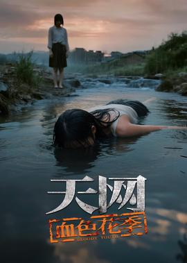 美丽心灵中英在线观看